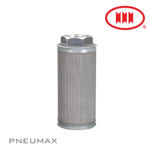 Suction Filter MF-04 (1/2" PT-149)